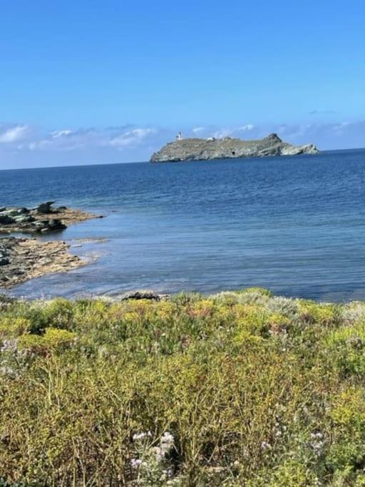Appartement Tout Confort 2-4 Pers 500 M De La Plage Avec Piscine Et Wifi Santa-Maria-Poggio (Corsica) Exterior foto